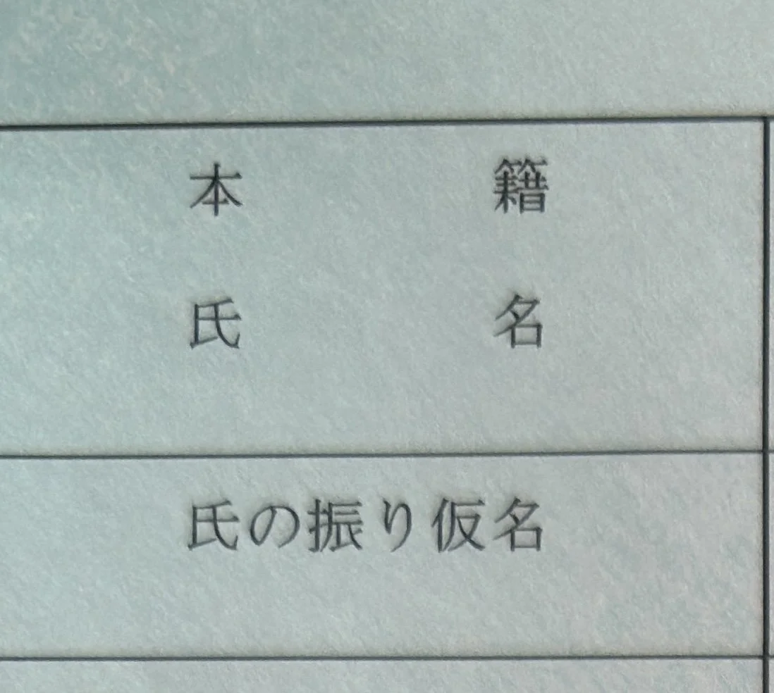 日本户籍簿的表格特写:浅蓝灰色纸上用黑线分出栏格,印着「本籍」「氏名」「氏の振り仮名」,格内没有手写内容