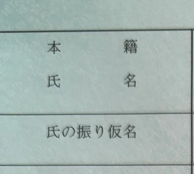 日本户籍簿的表格特写：浅蓝灰色纸上用黑线分出栏格，印着「本籍」「氏名」「氏の振り仮名」，格内没有手写内容