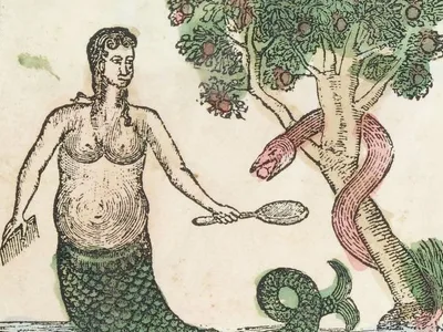 Metamorphosis: Transformations in the Early Modern Flap Book 的题图