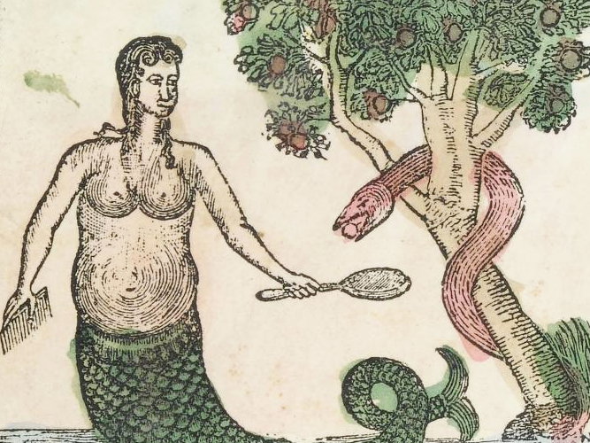 Metamorphosis: Transformations in the Early Modern Flap Book 的题图