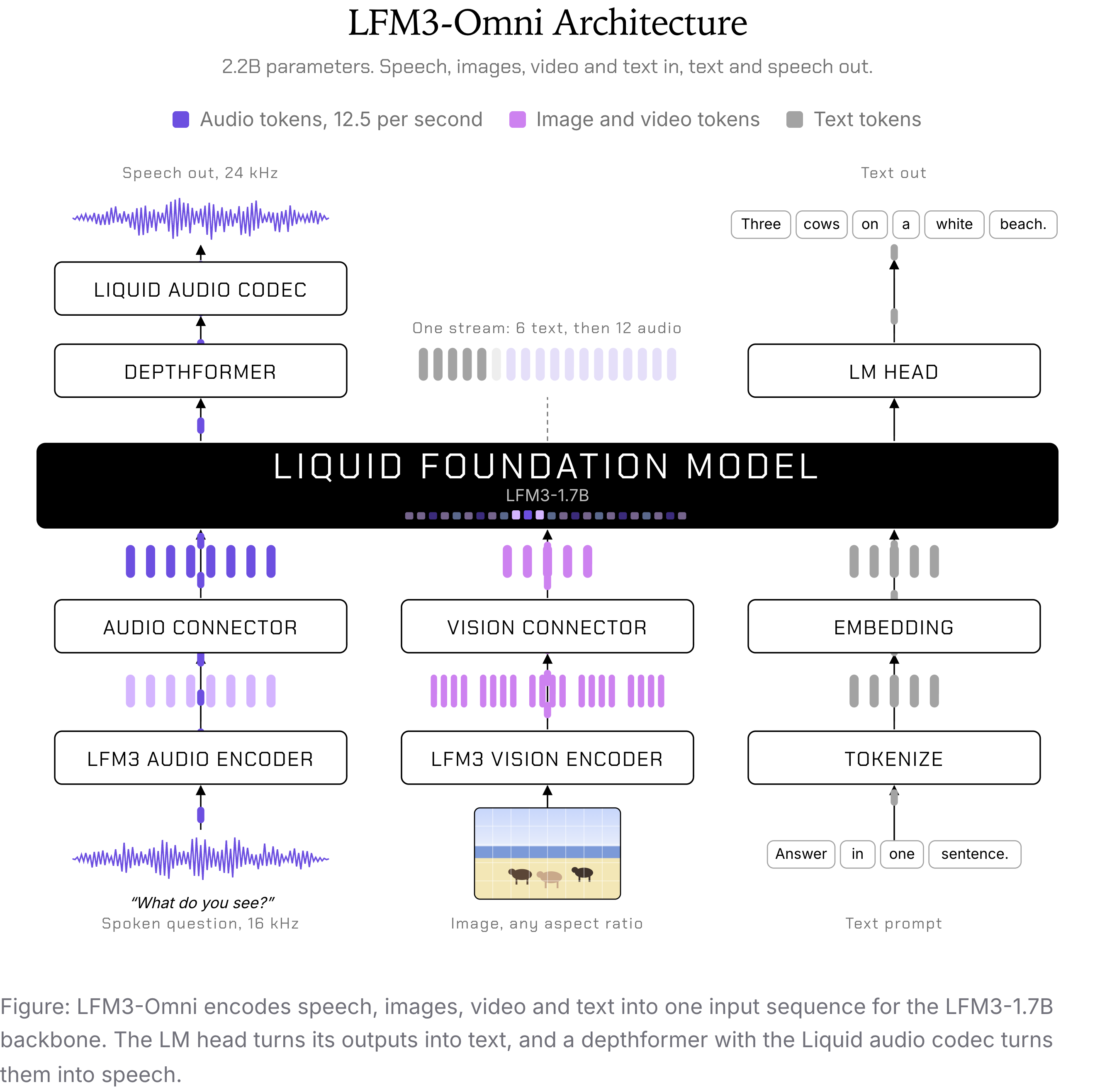 LFM3-Omni 架构：语音、图像、视频和文本被编码成单一输入序列送入 LFM3-1.7B 骨干网络，LM head 产出文本，depthformer 配合 Liquid 音频编解码器产出语音