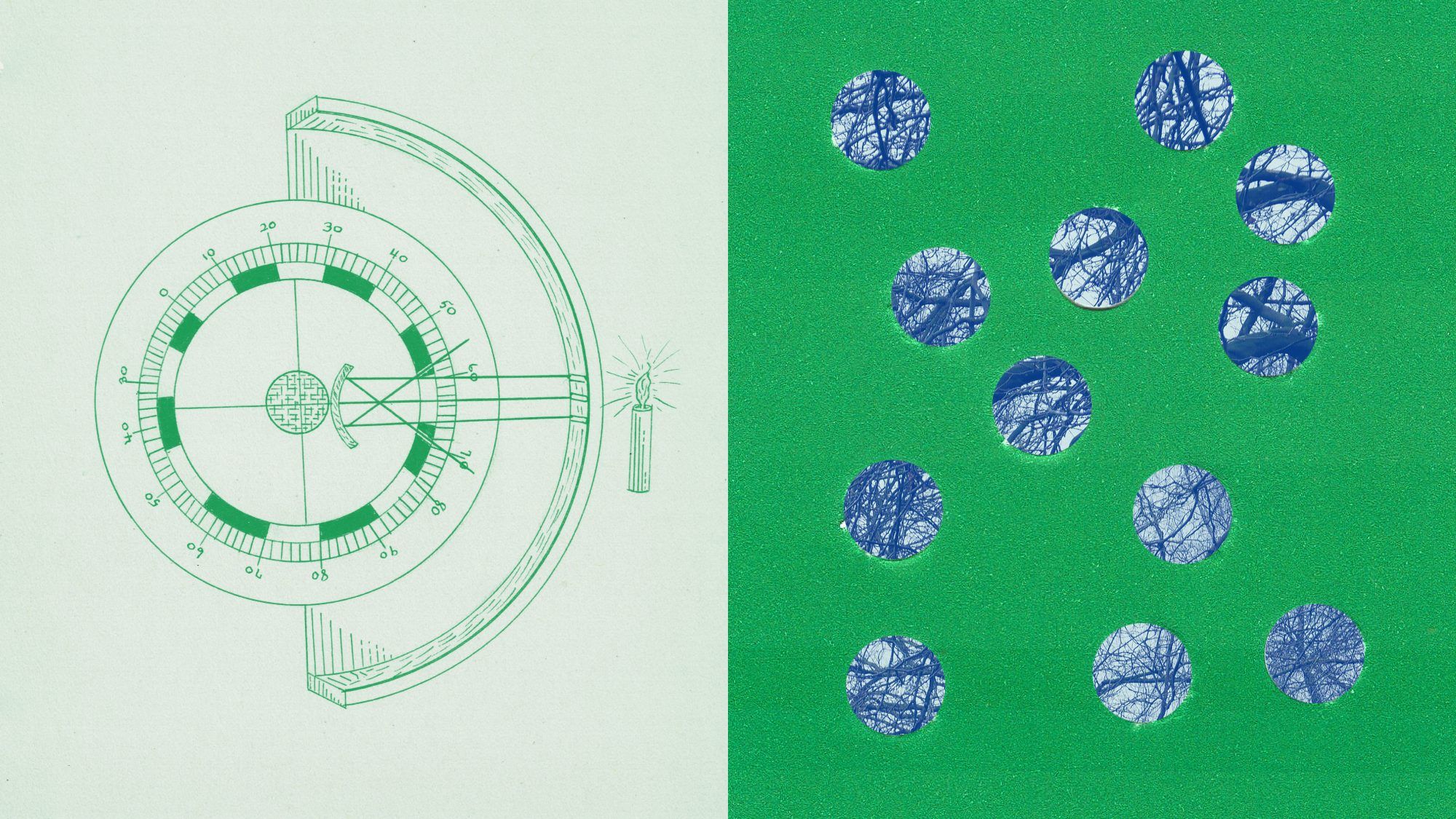 collage of a physics diagram and trees